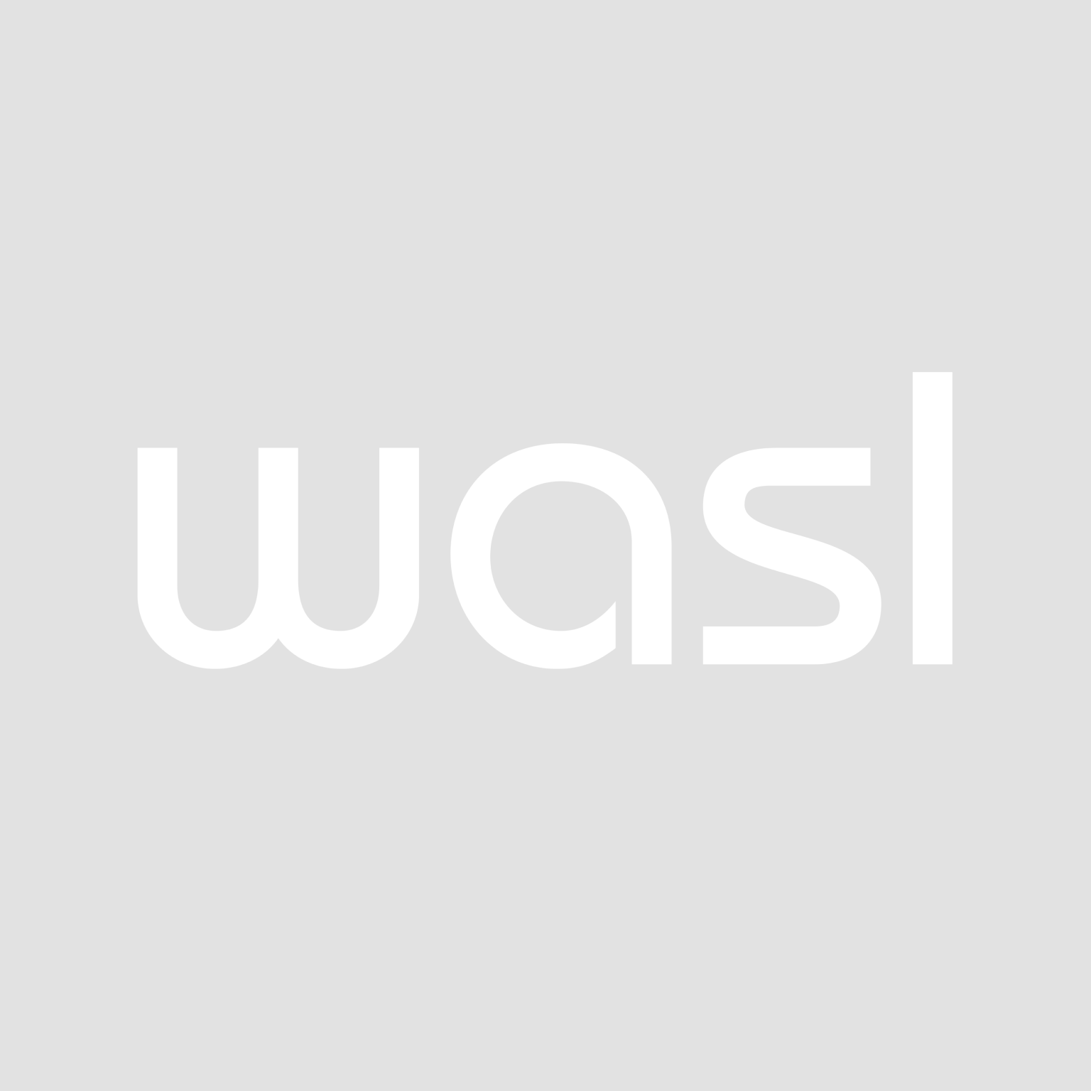 Wasl English white logo