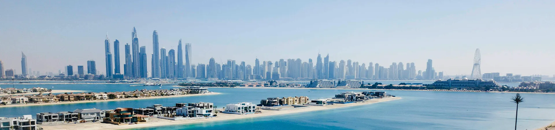 Why the Dubai Fitness Challenge