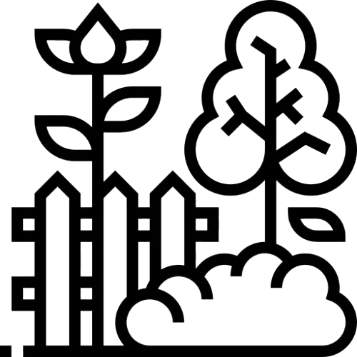 About the project
