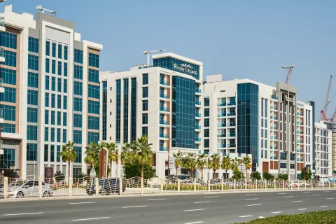 Wasl Port Views