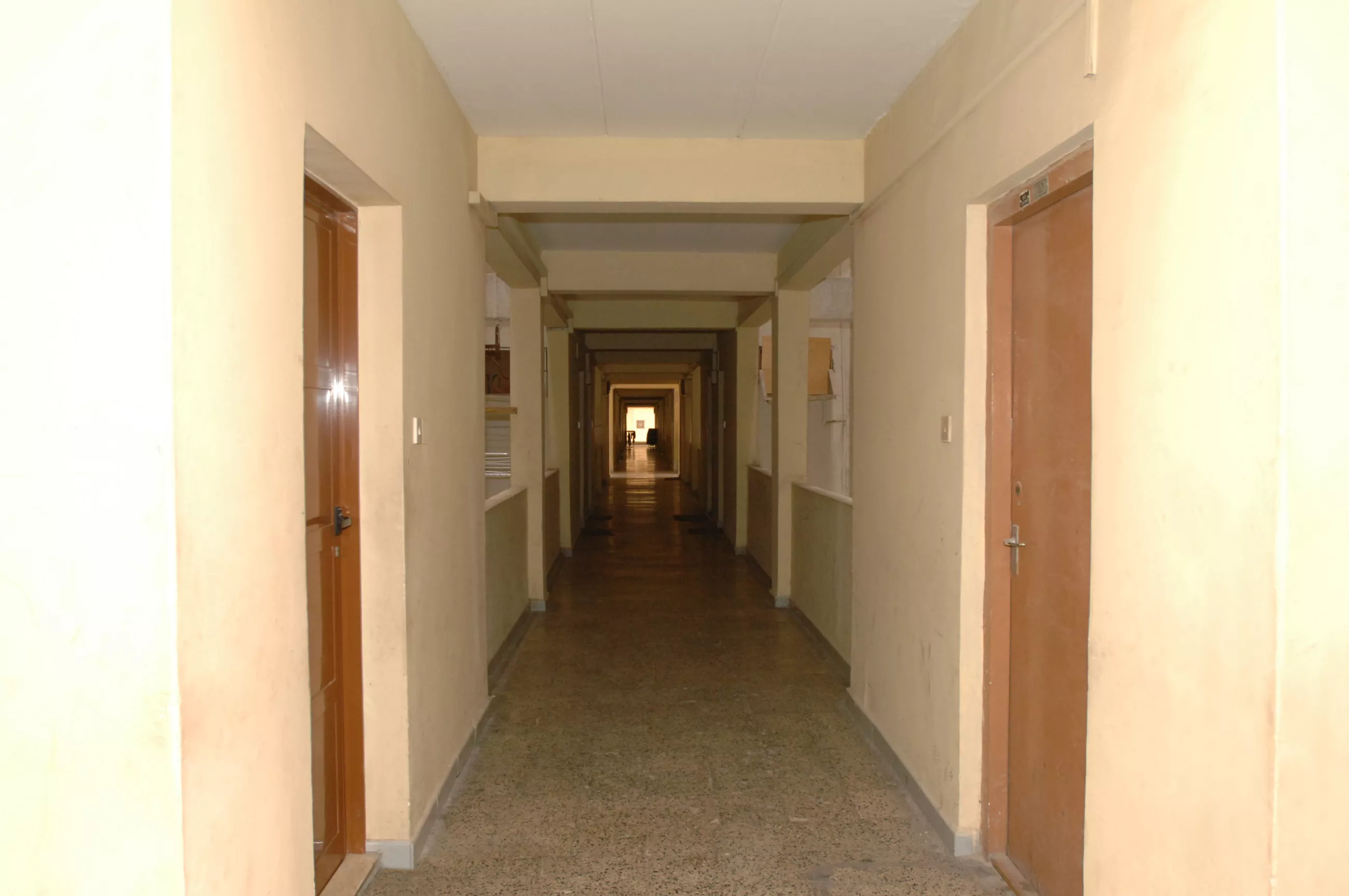 All images