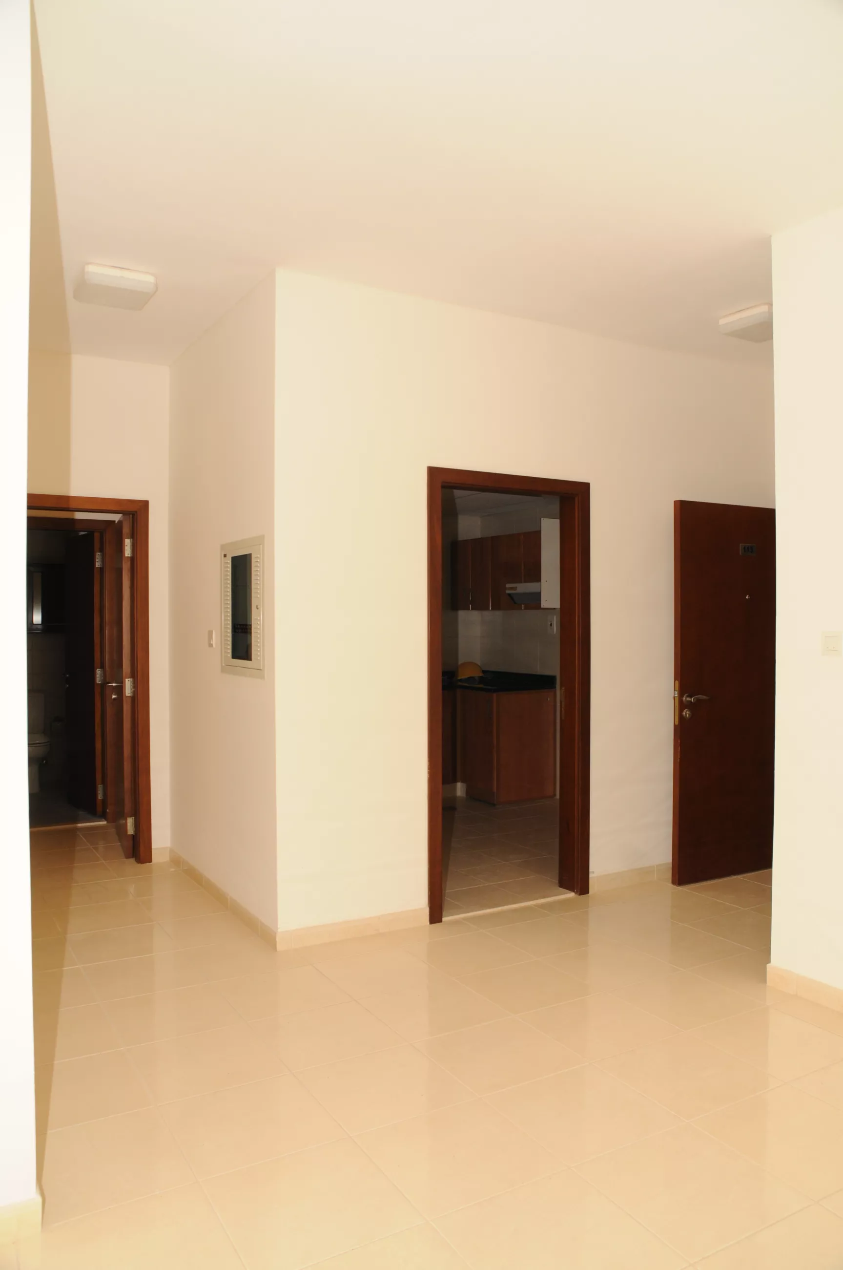 All images