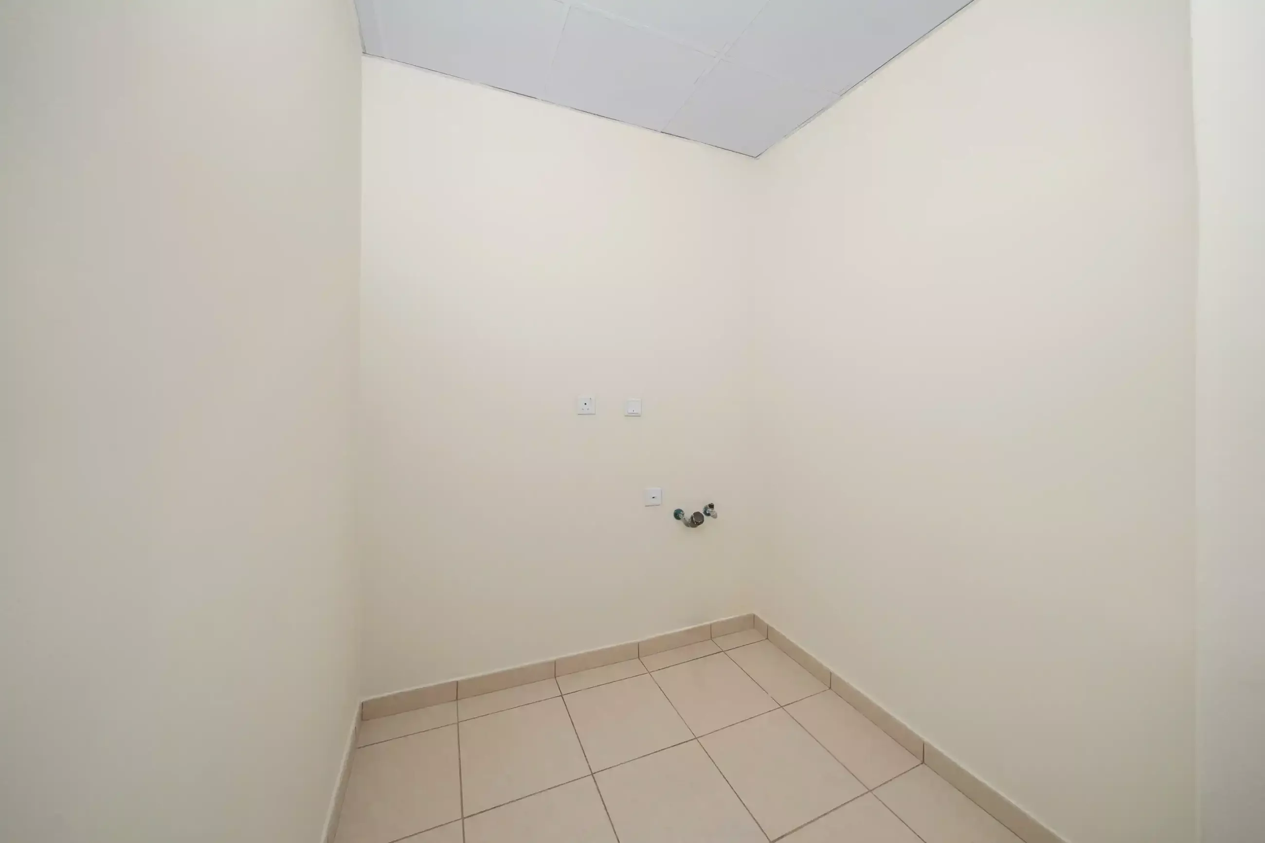 All images