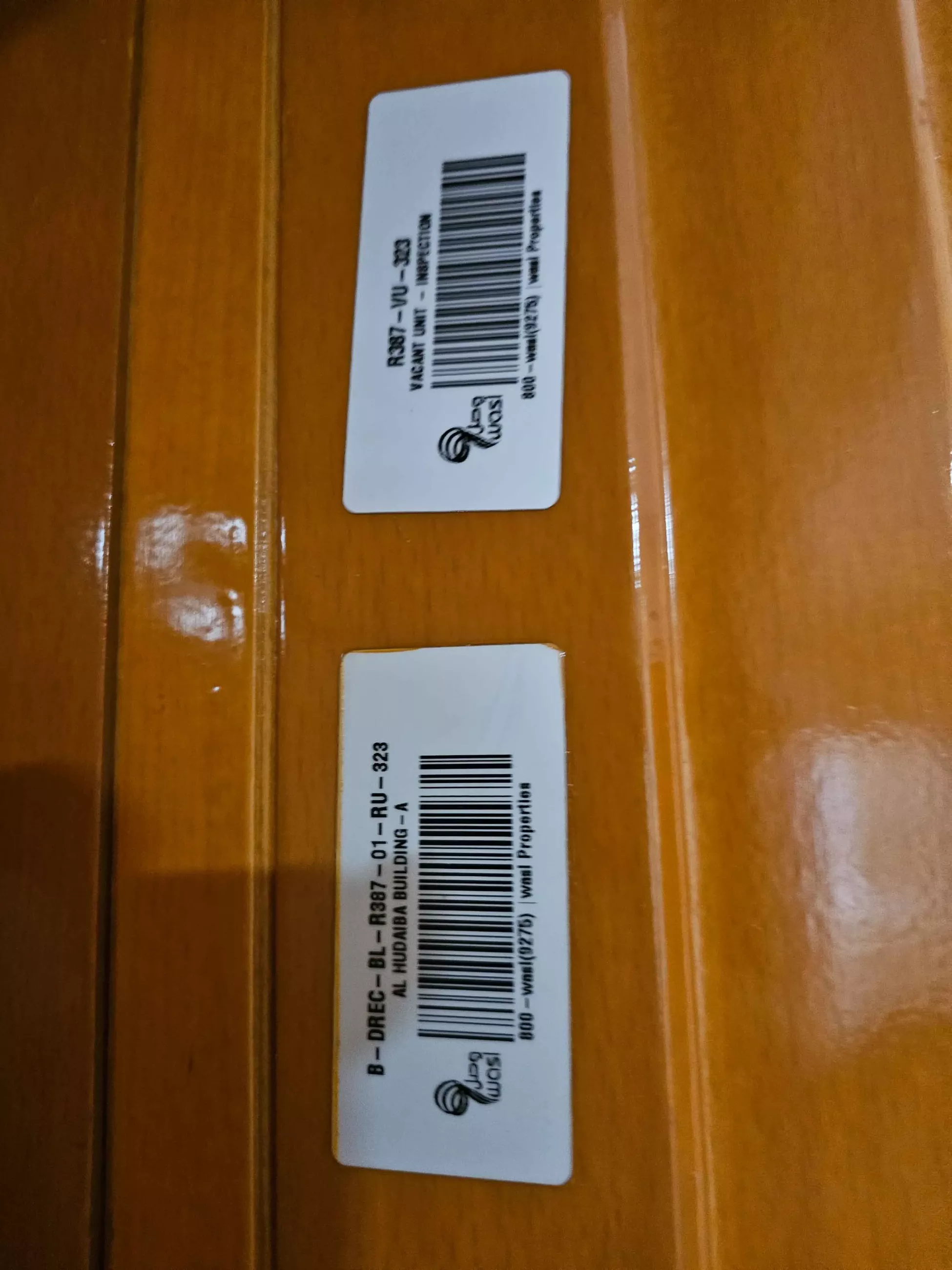 All images